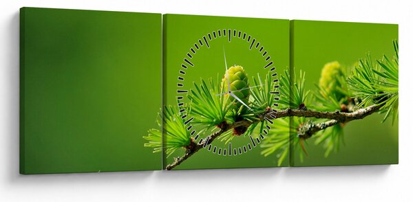 Tablou con verde (cu ceas) (90x30 cm)