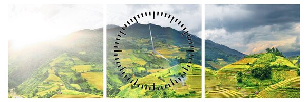 Tablou plantație (cu ceas) (90x30 cm)