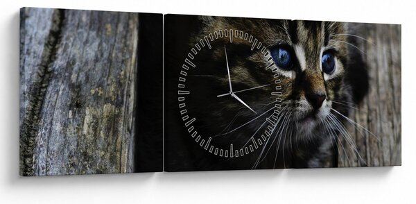 Tablou cu pisicuța (cu ceas) (90x30 cm)