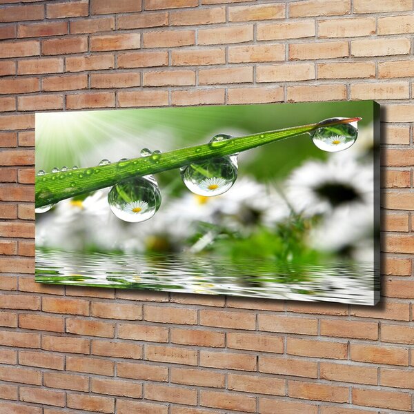 Tablou canvas Picaturi pe iarba