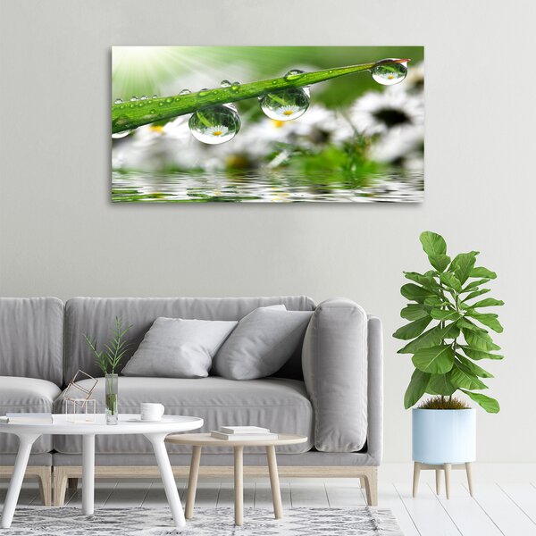 Tablou canvas Picaturi pe iarba