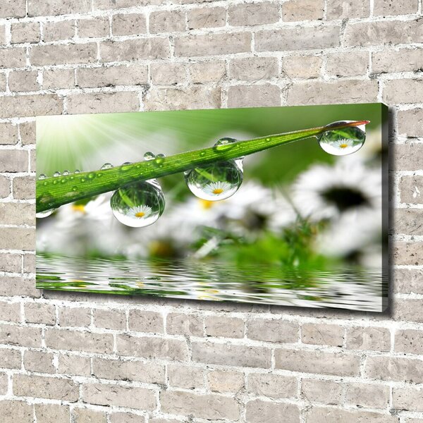 Tablou canvas Picaturi pe iarba