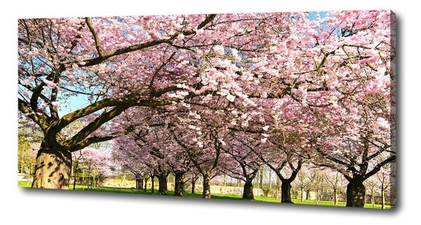 Tablou canvas cires