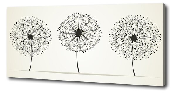 Tablou pe pânză canvas păpădia