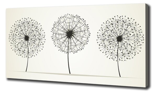 Tablou pe pânză canvas păpădia