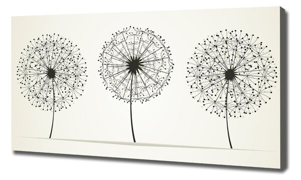 Tablou pe pânză canvas păpădia