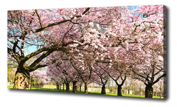 Tablou canvas cires