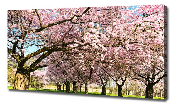 Tablou canvas cires