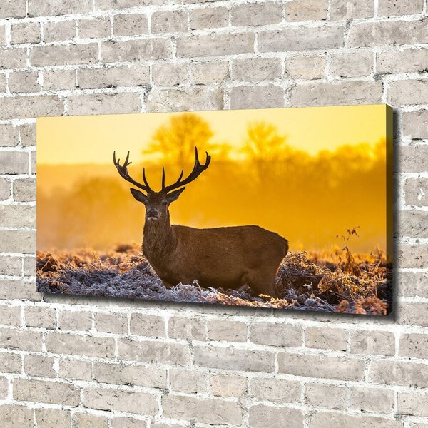 Tablouri tipărite pe pânză Sunrise Deer