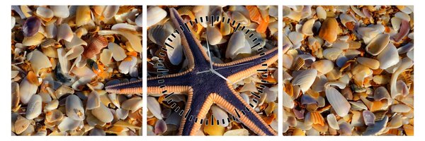 Tablou cu stea de mare (cu ceas) (90x30 cm)