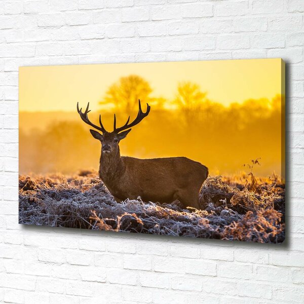 Tablouri tipărite pe pânză Sunrise Deer