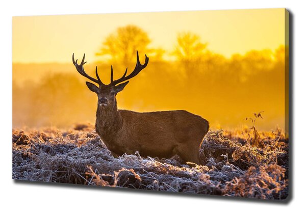 Tablouri tipărite pe pânză Sunrise Deer