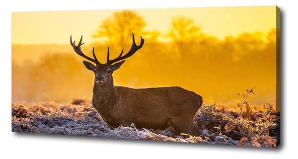 Tablouri tipărite pe pânză Sunrise Deer