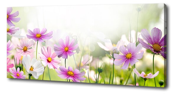 Tablou canvas Flori în lunca