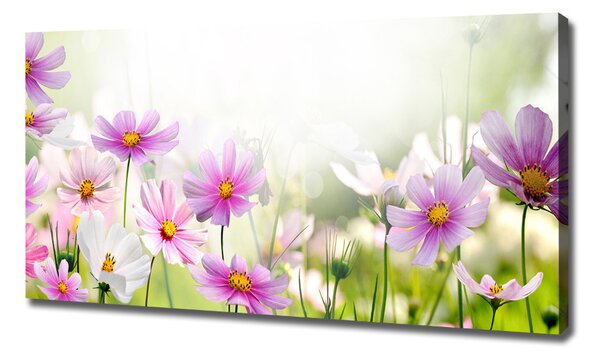 Tablou canvas Flori în lunca