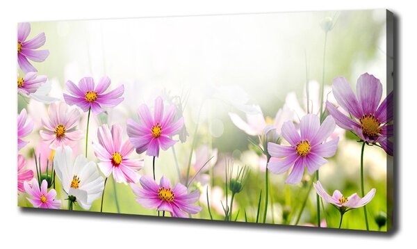 Tablou canvas Flori în lunca