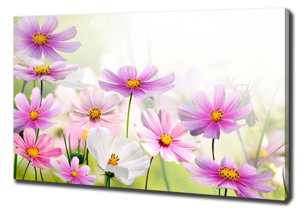 Tablou canvas Flori în lunca