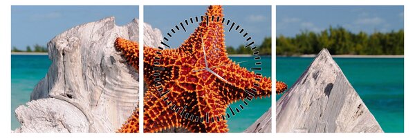 Tablou cu stea de mare (cu ceas) (90x30 cm)
