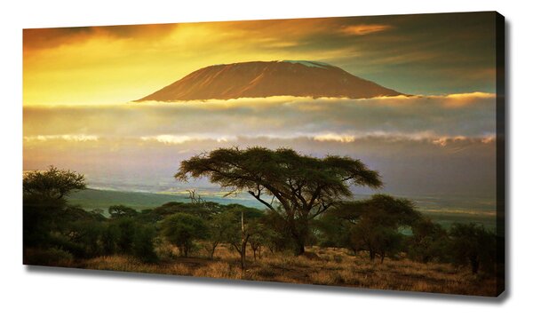 Tablouri tipărite pe pânză Kilimanjaro Kenya