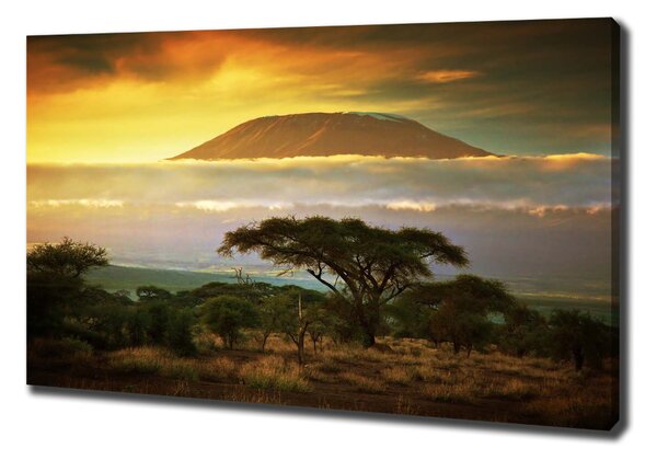 Tablouri tipărite pe pânză Kilimanjaro Kenya