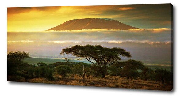 Tablouri tipărite pe pânză Kilimanjaro Kenya