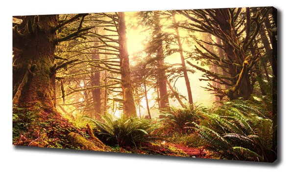 Tablou canvas pădurea tropicală