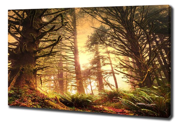 Tablou canvas pădurea tropicală