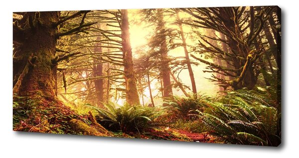 Tablou canvas pădurea tropicală