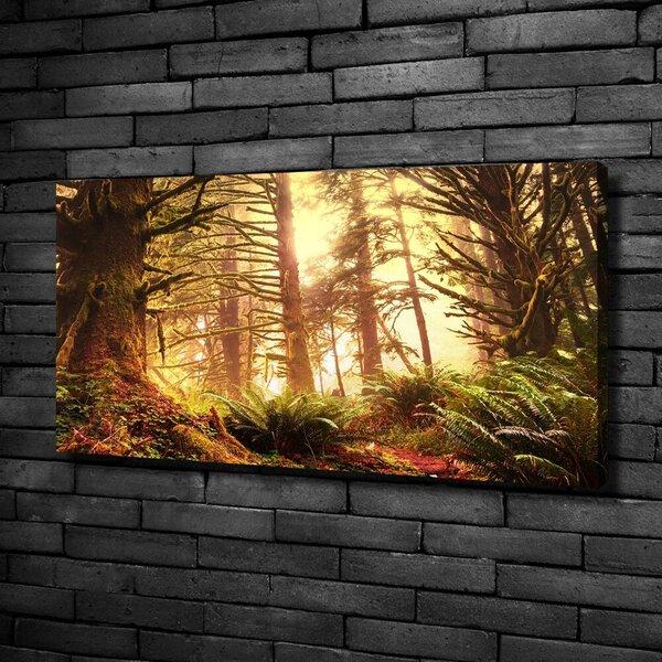 Tablou canvas pădurea tropicală