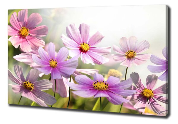 Tablou pe pânză canvas Flori în lunca