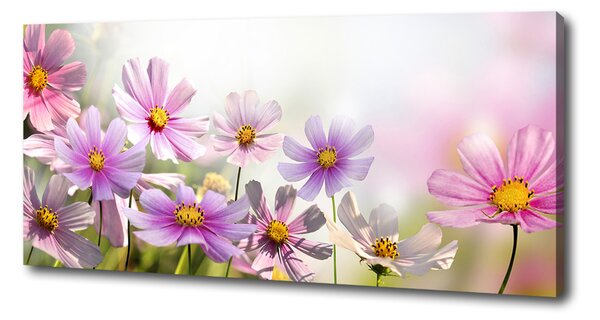 Tablou pe pânză canvas Flori în lunca