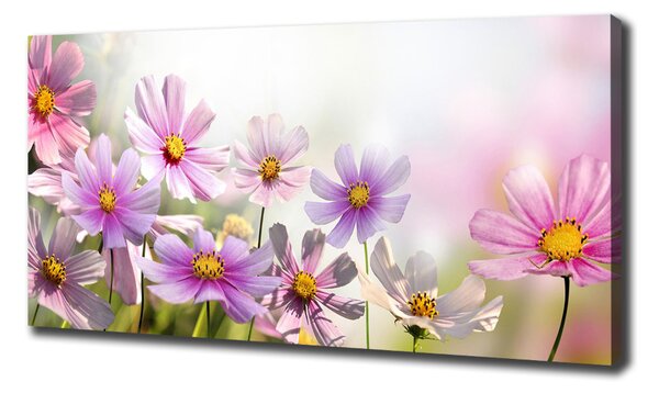 Tablou pe pânză canvas Flori în lunca