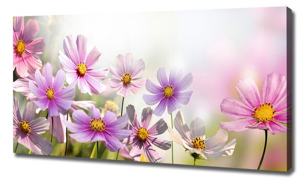 Tablou pe pânză canvas Flori în lunca