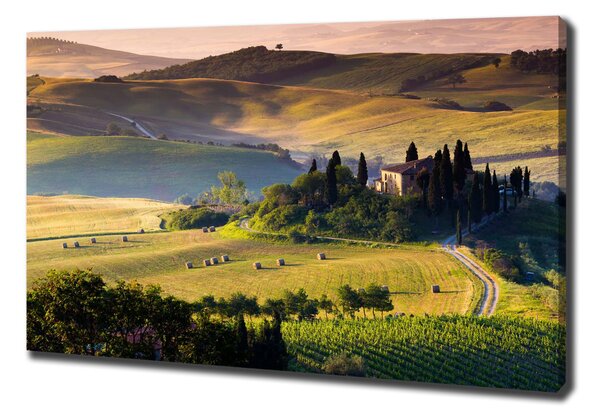 Tablou pe pânză Toscana