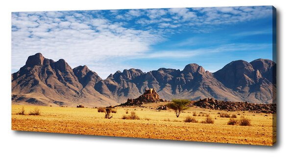 Print pe canvas Rocks din Namibia