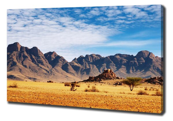Print pe canvas Rocks din Namibia