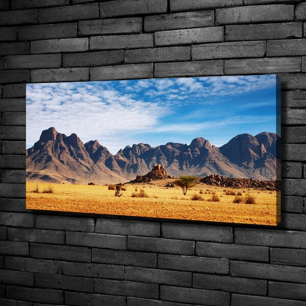 Print pe canvas Rocks din Namibia