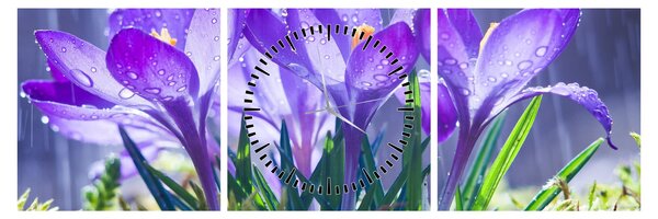 Tablou cuflori în ploaie (cu ceas) (90x30 cm)