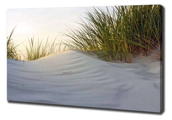 Imprimare tablou canvas dune de coastă