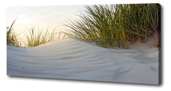Imprimare tablou canvas dune de coastă