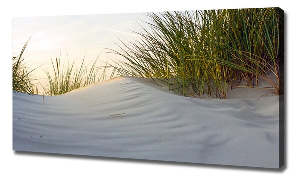 Imprimare tablou canvas dune de coastă