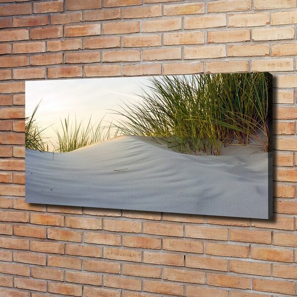 Imprimare tablou canvas dune de coastă