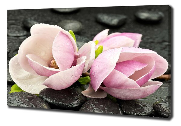 Print pe pânză Magnolia Zen Piatra