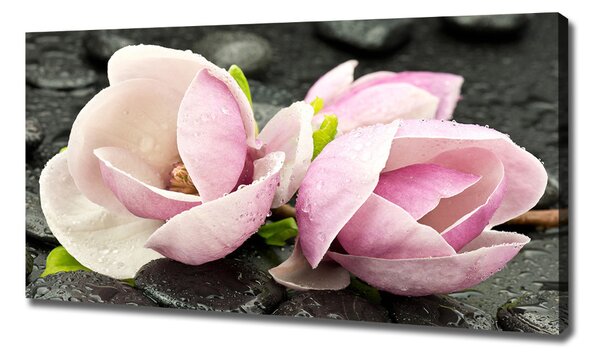 Print pe pânză Magnolia Zen Piatra