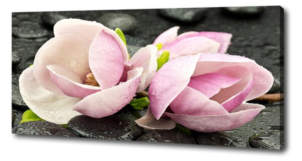 Print pe pânză Magnolia Zen Piatra