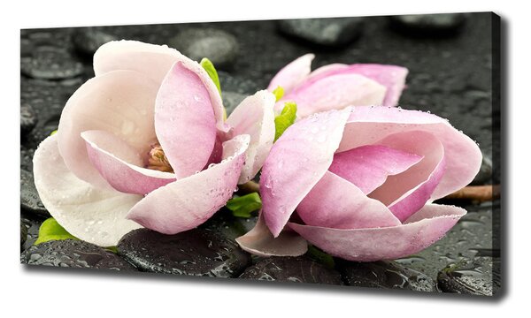Print pe pânză Magnolia Zen Piatra