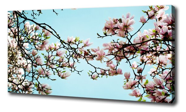 Tablou pe pânză flori magnolia