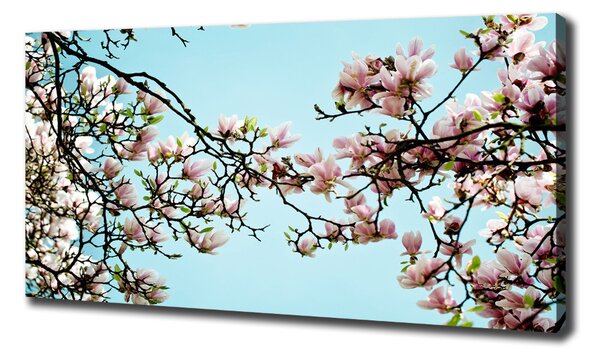 Tablou pe pânză flori magnolia