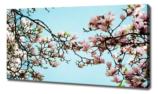 Tablou pe pânză flori magnolia