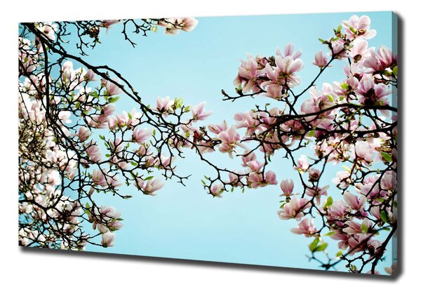 Tablou pe pânză flori magnolia